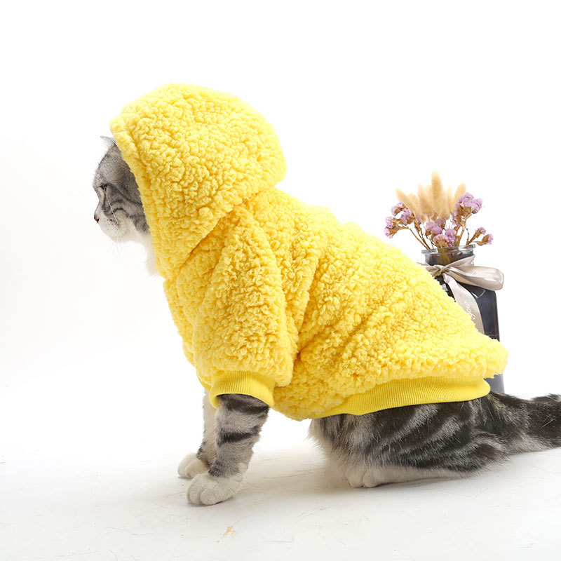 Cotton Sweater in Yellow