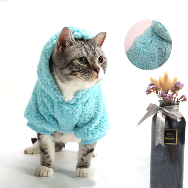 Cotton Sweater in Blue