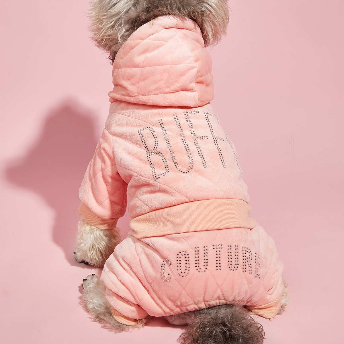 Pet Clothes 3