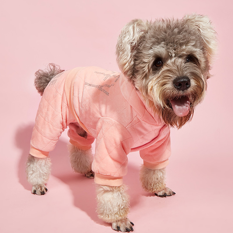 Pet Clothes 7