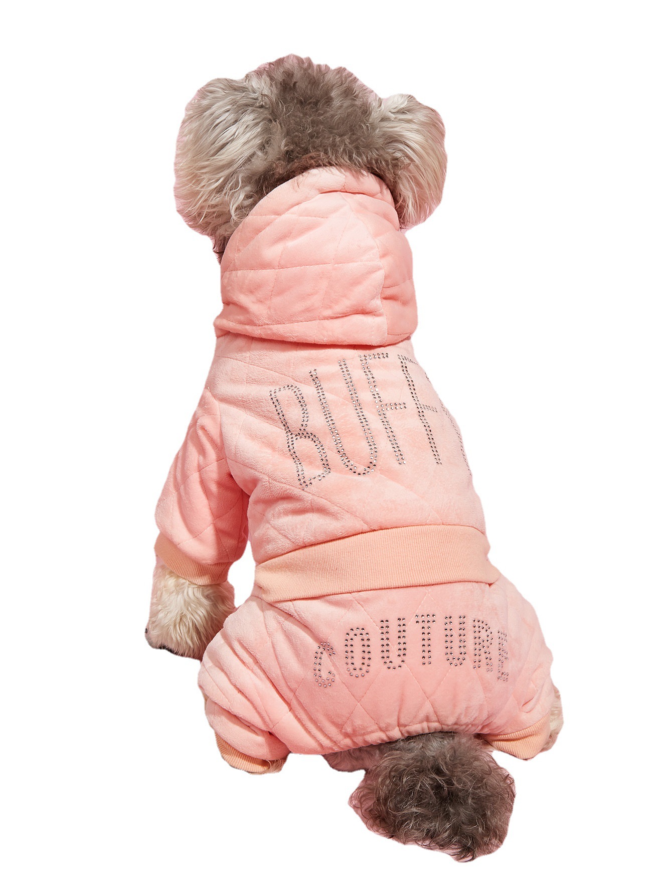 Pet Clothes 1