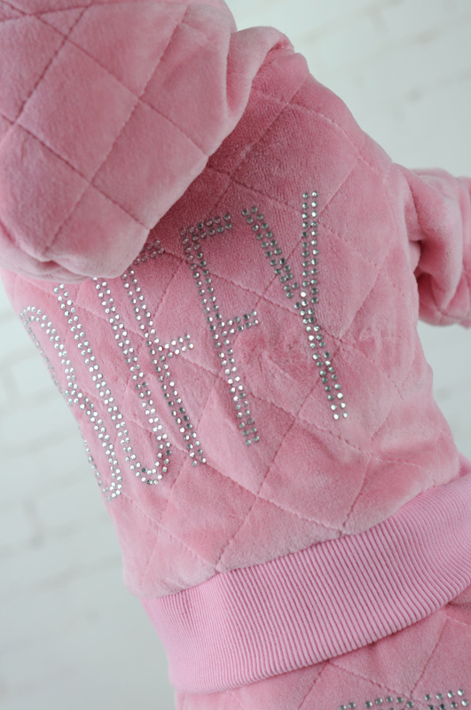 Pet Clothes 5