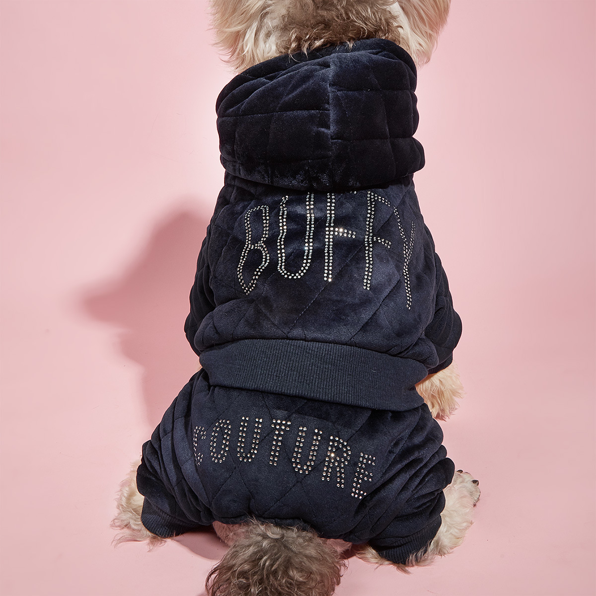 Pet Clothes 2