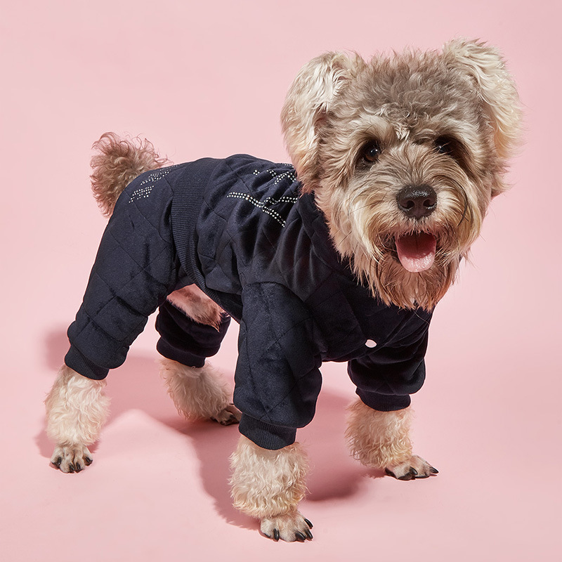 Pet Clothes 4