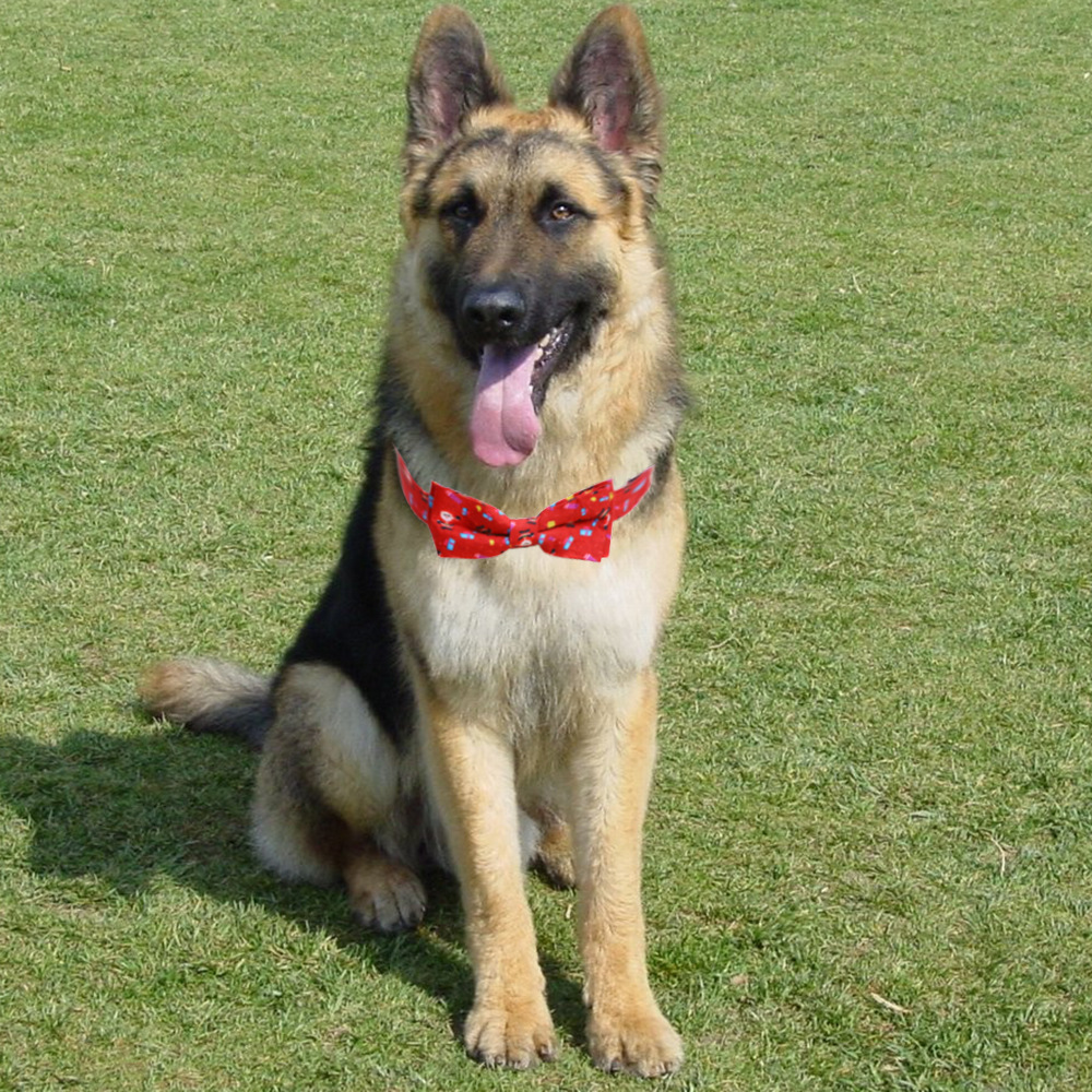 Dog Collar in Red