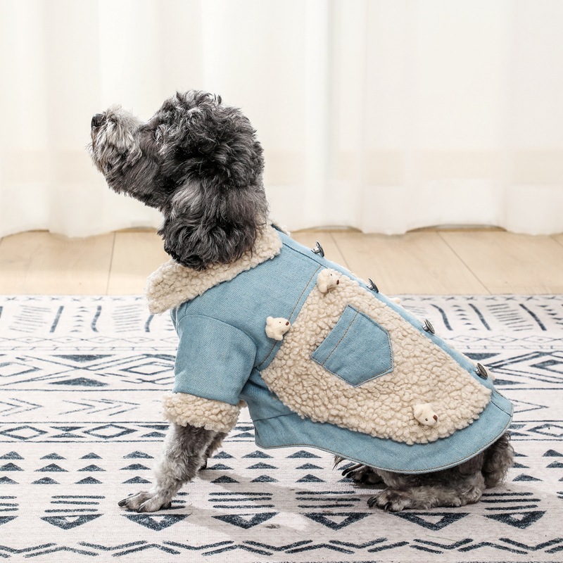 Cute dog wearing teddy clothes