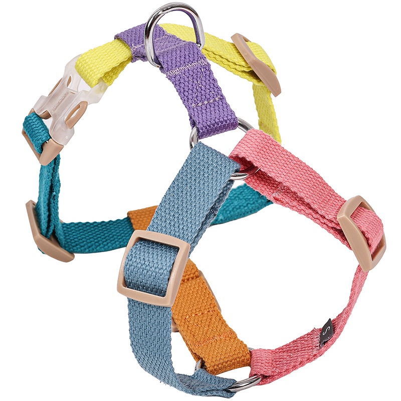 Fresh Six-color H-shaped PET's Chest-back 2