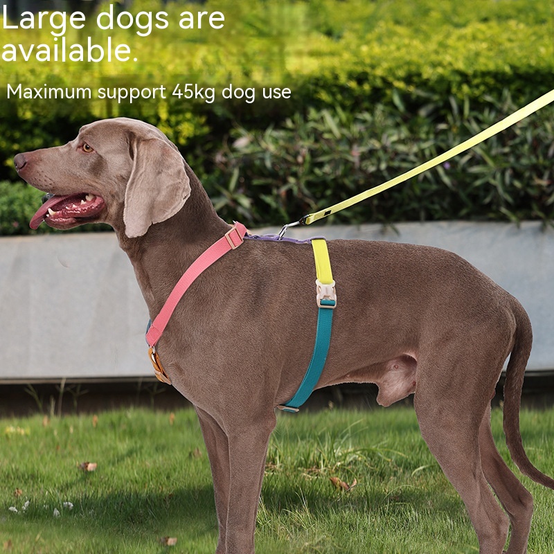 Fresh Six-color H-shaped PET's Chest-back 4