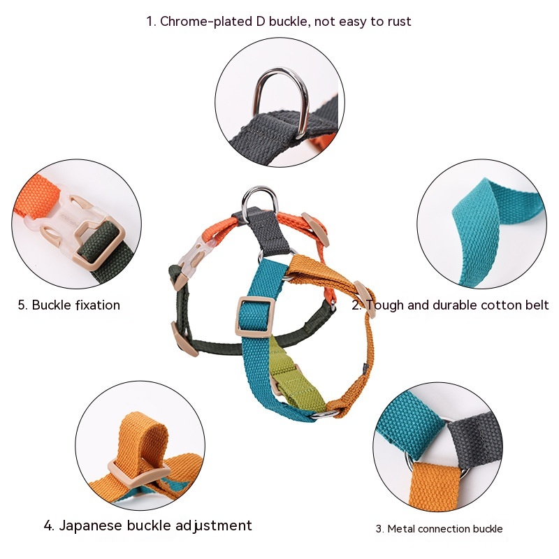 Fresh Six-color H-shaped PET's Chest-back 7