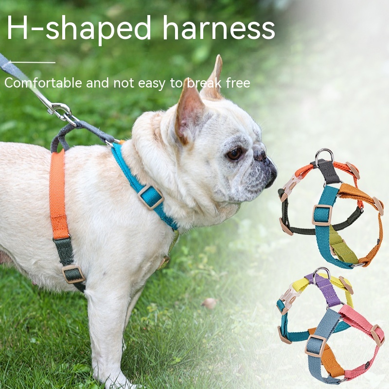 Fresh Six-color H-shaped PET's Chest-back 6