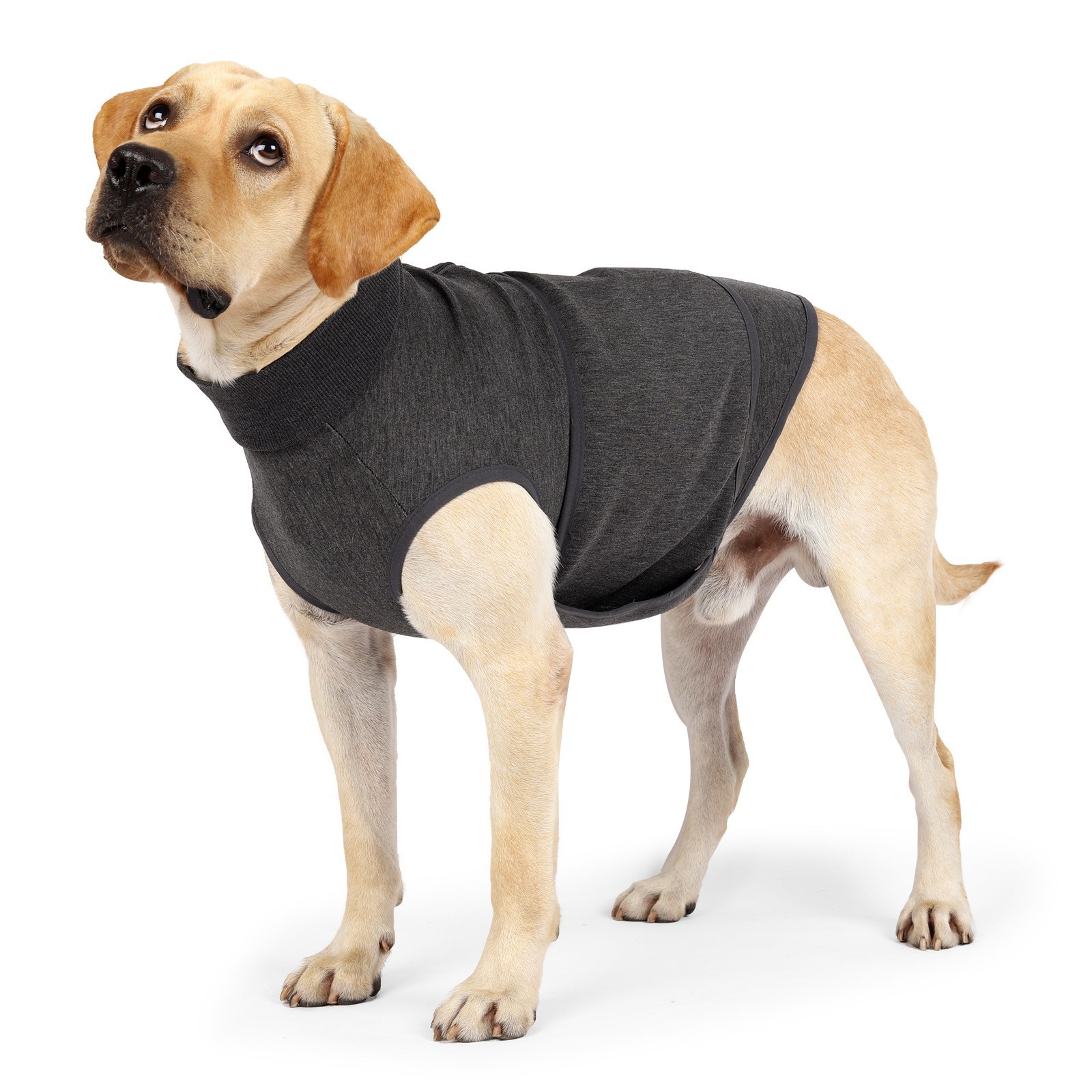 Pet Jacket Image 4