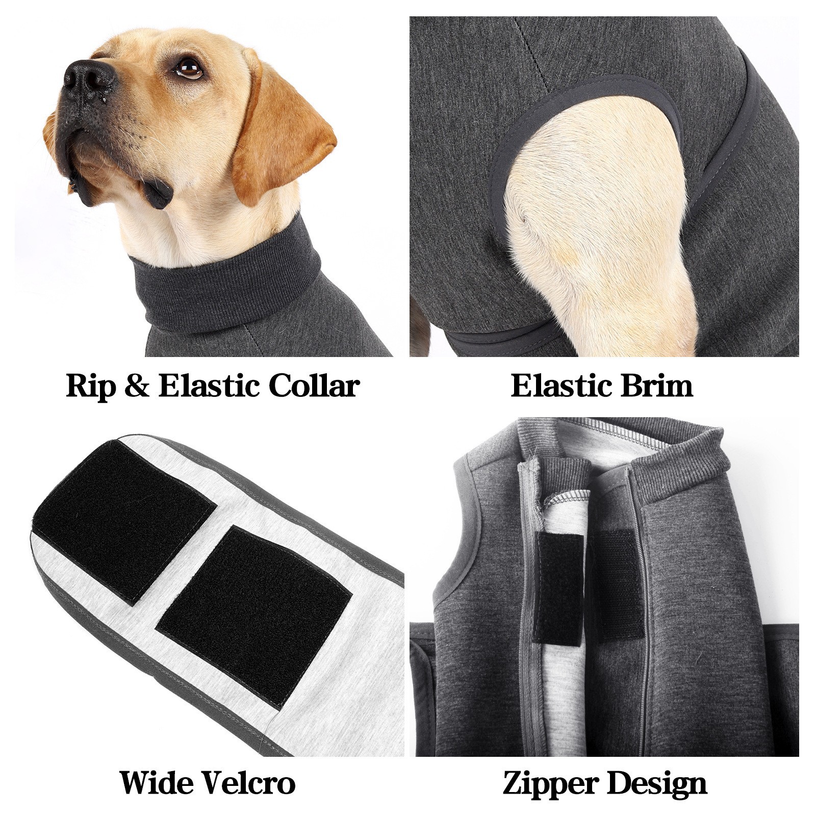 Pet Jacket Image 5