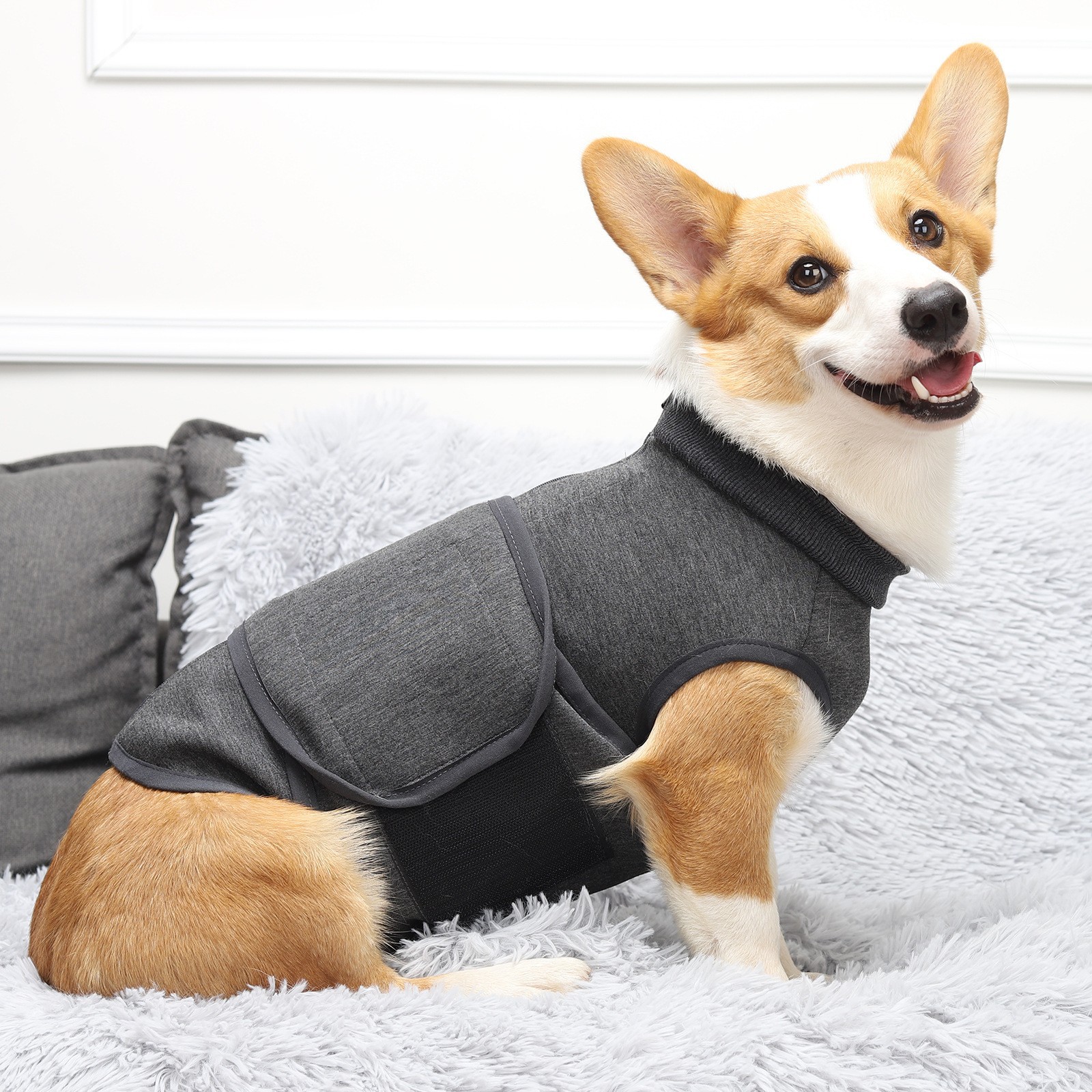 Pet Jacket Image 7