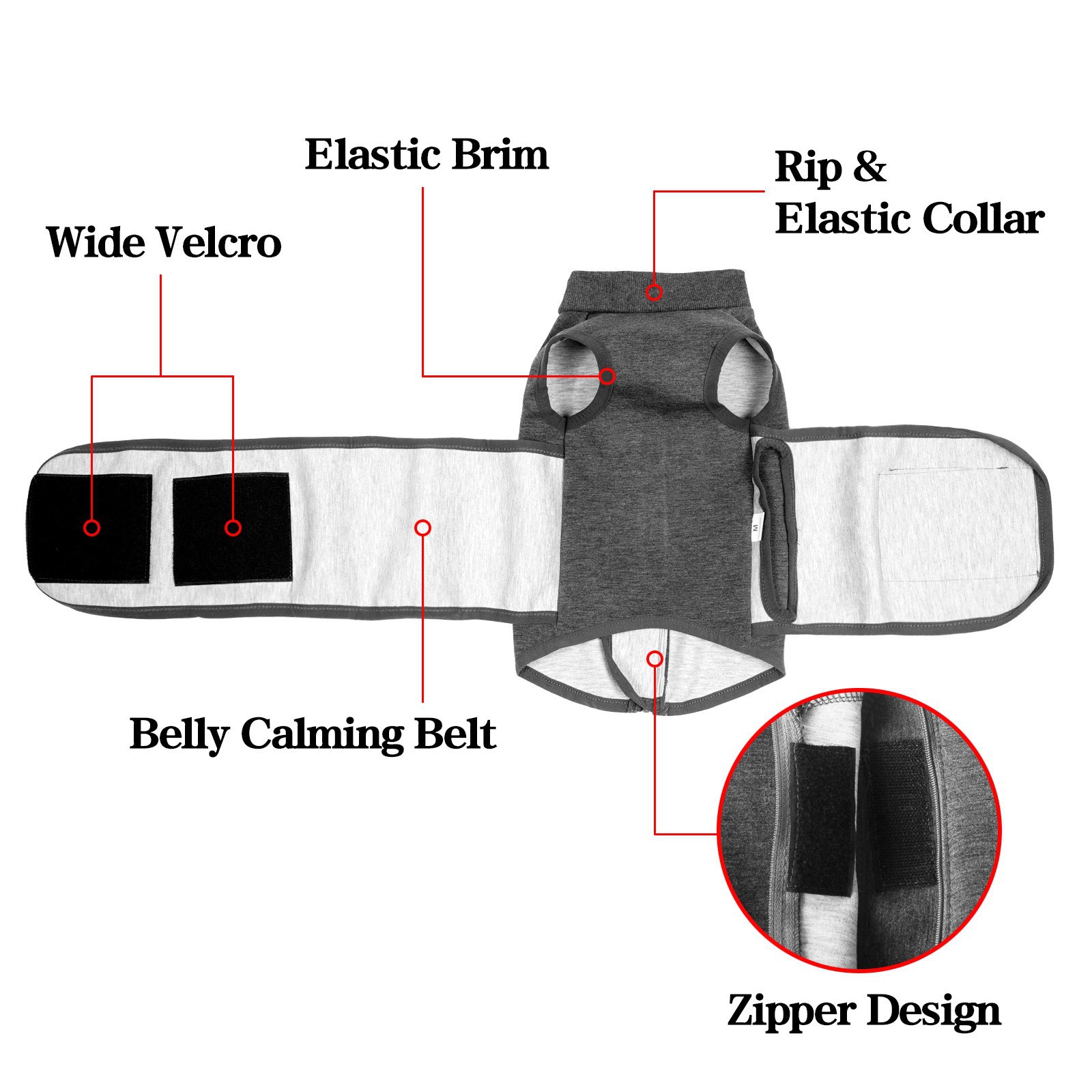 Pet Jacket Image 2
