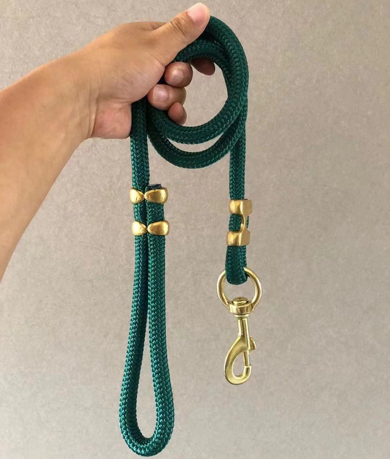 Leash with Dog