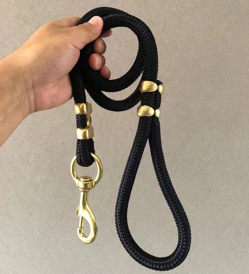 Dog Walking Leash in action
