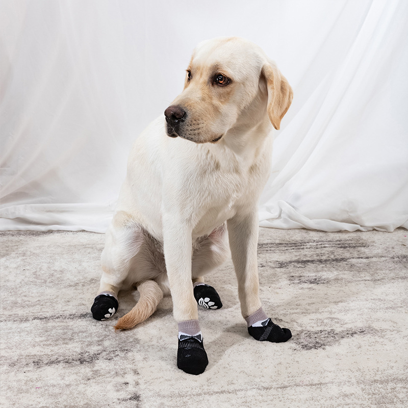 Halloween Pet Socks Showcase
