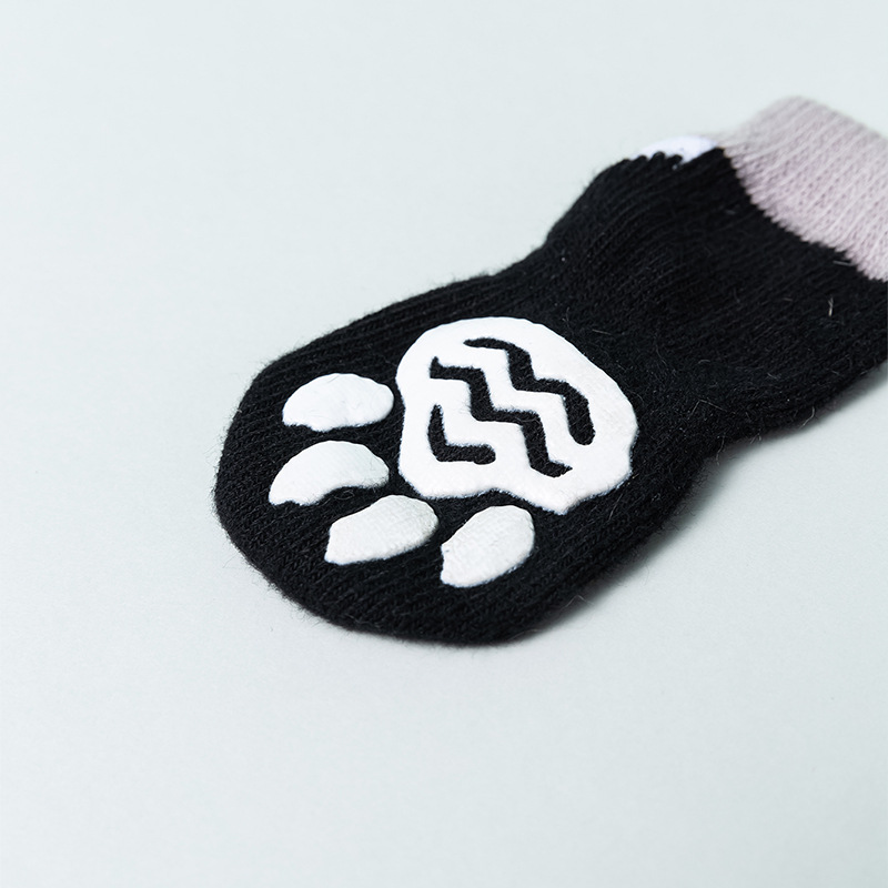 Halloween Pet Socks in Use