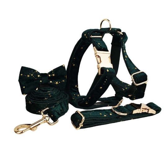 Pet Collar Accessories