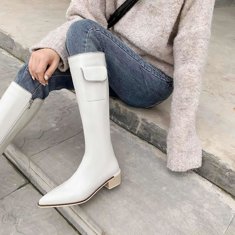 Pointed Retro Boots Image 1