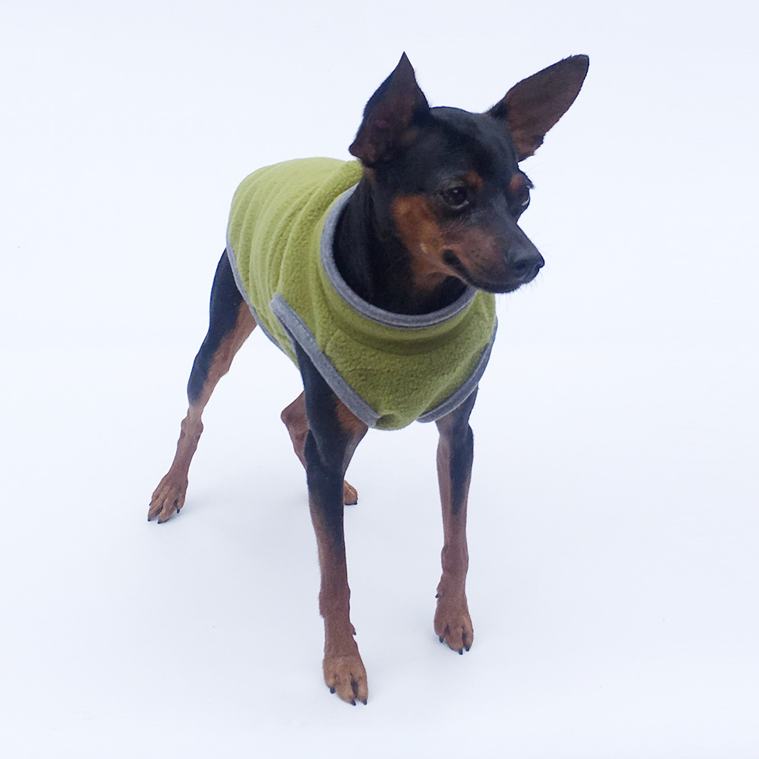 Pet Clothing 3