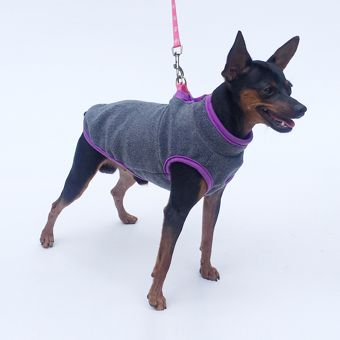 Pet Clothing 4