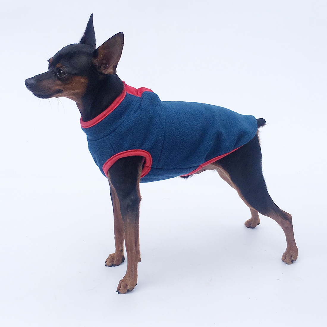 Pet Clothing 7
