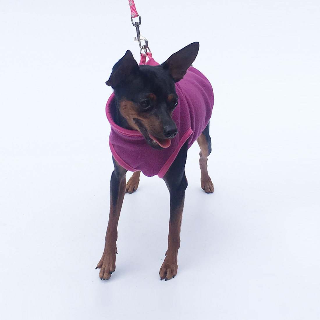Pet Clothing 2