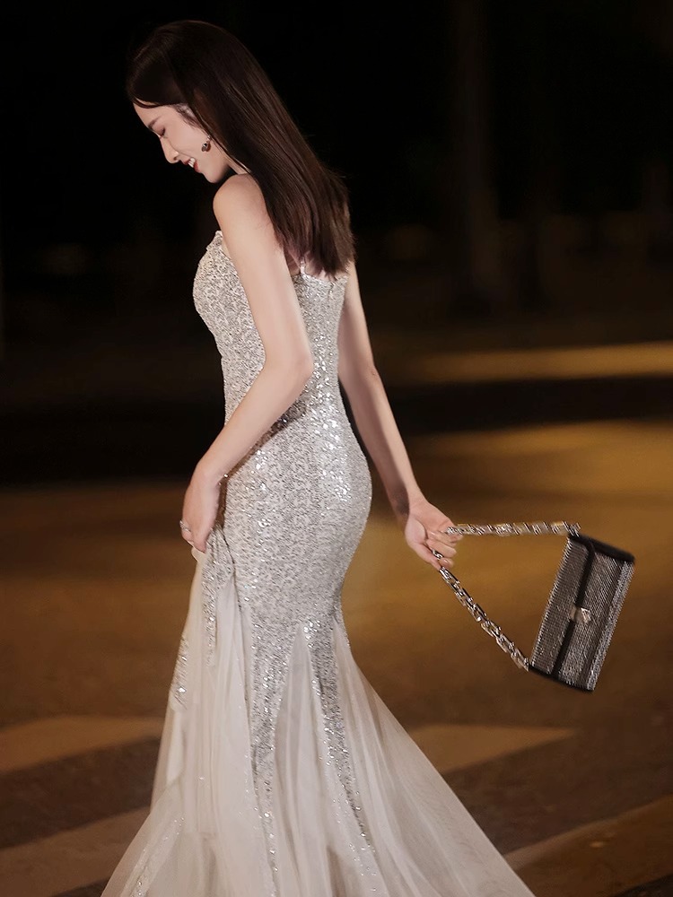 Elegant Silver Sequined Dress 7