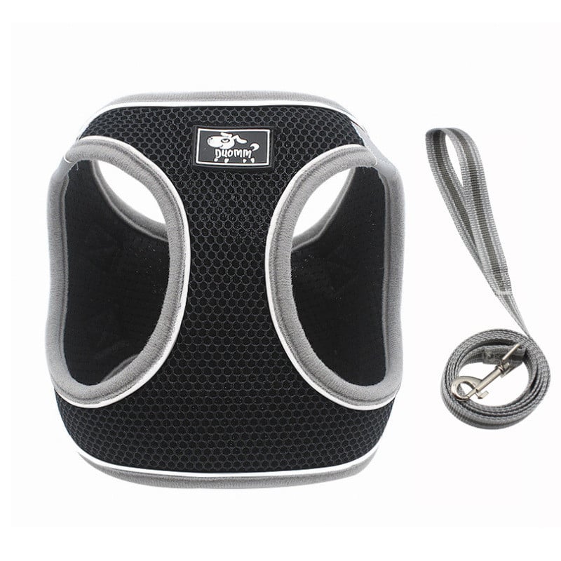 Dog Harness Image 5