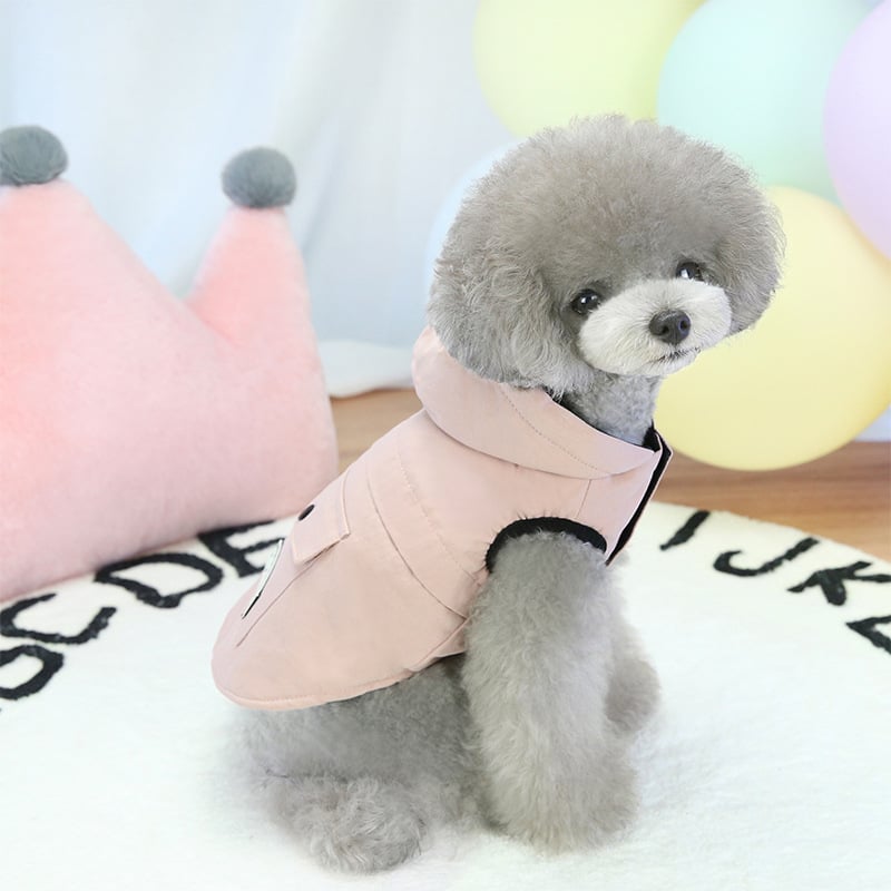 Corgi Bichon Vest 8
