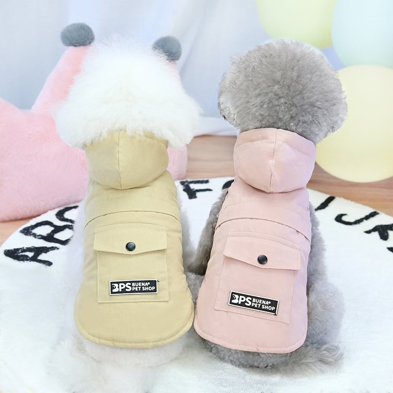 Corgi Bichon Vest 9