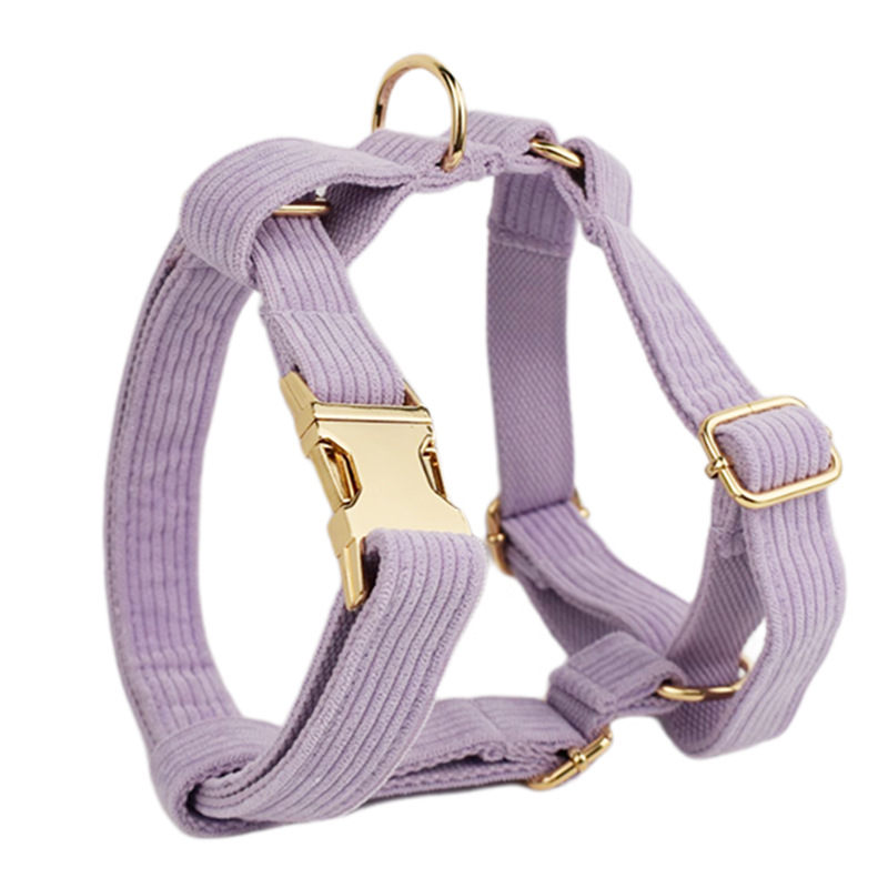 Collar Detail