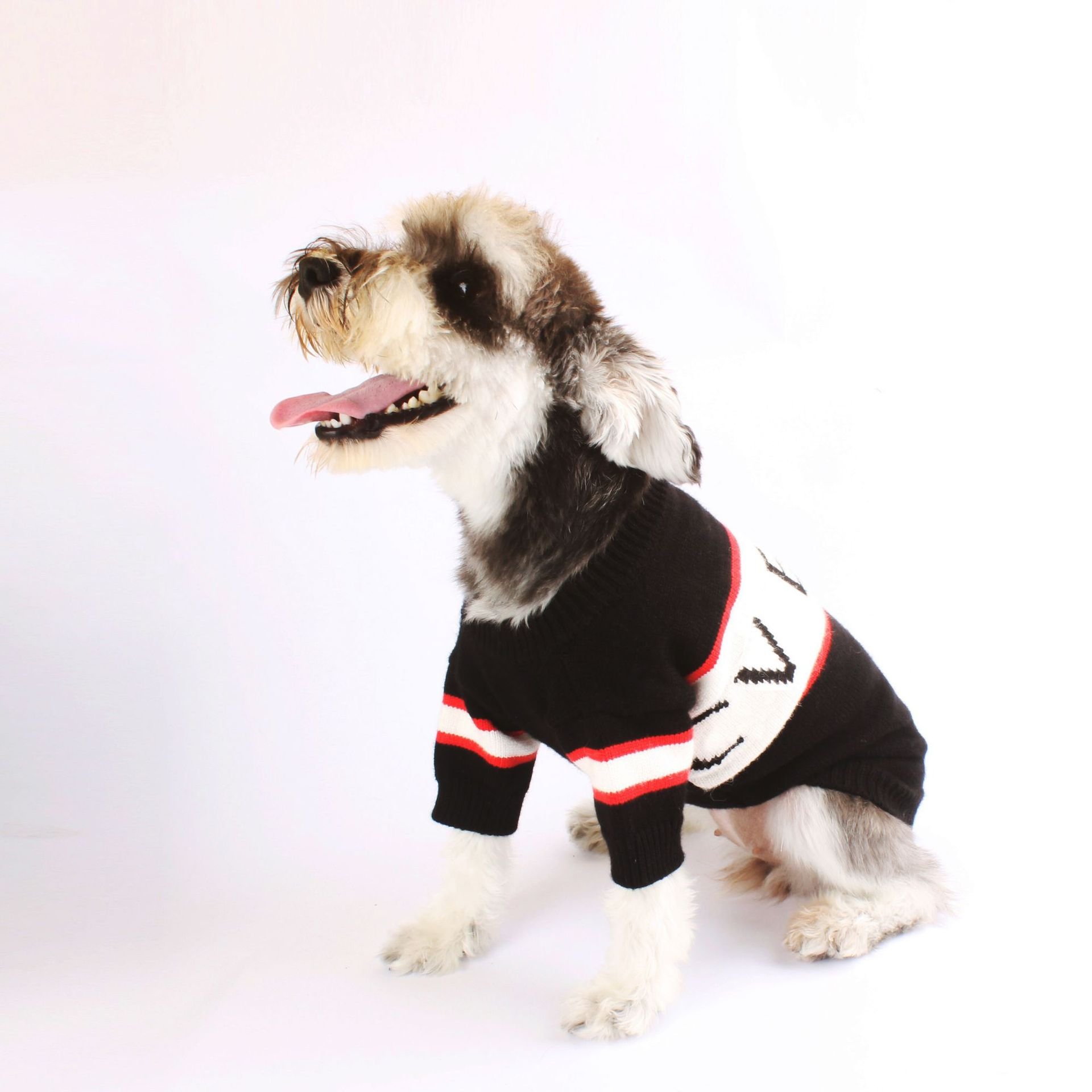 Sweater Image 4