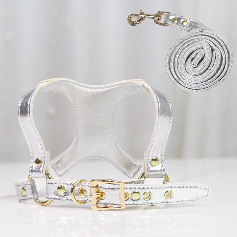Dog Leash Features