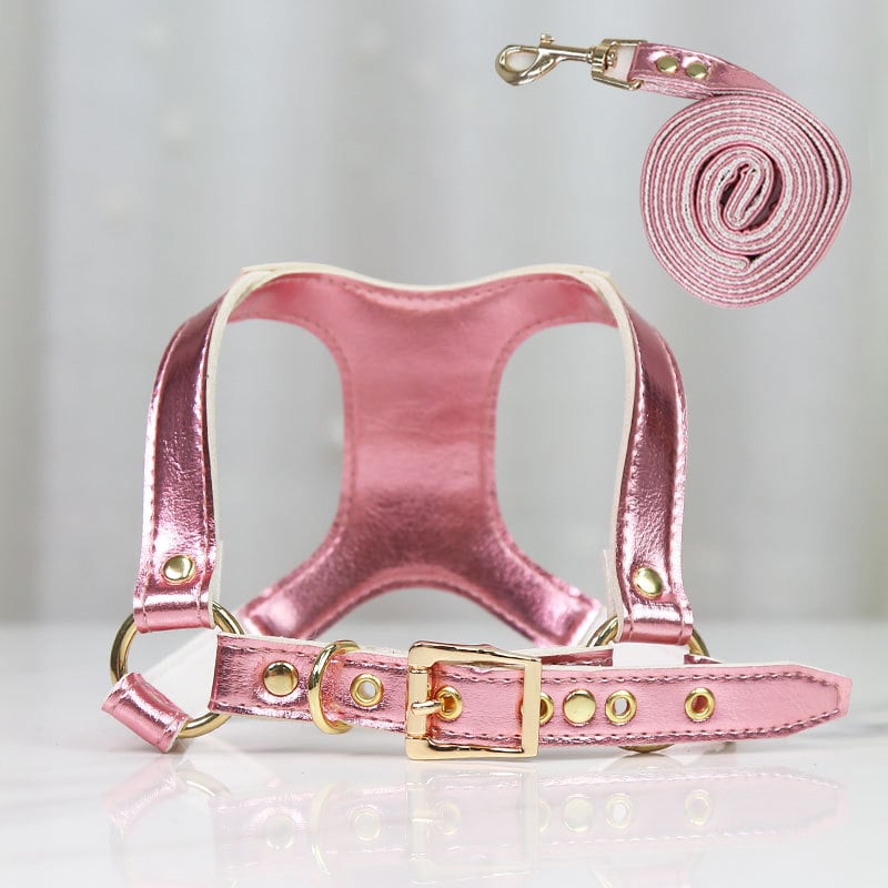 Quality Dog Accessories