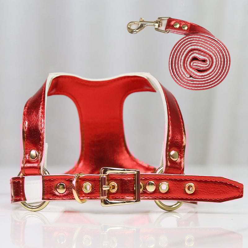 Comfortable Leash for Dogs