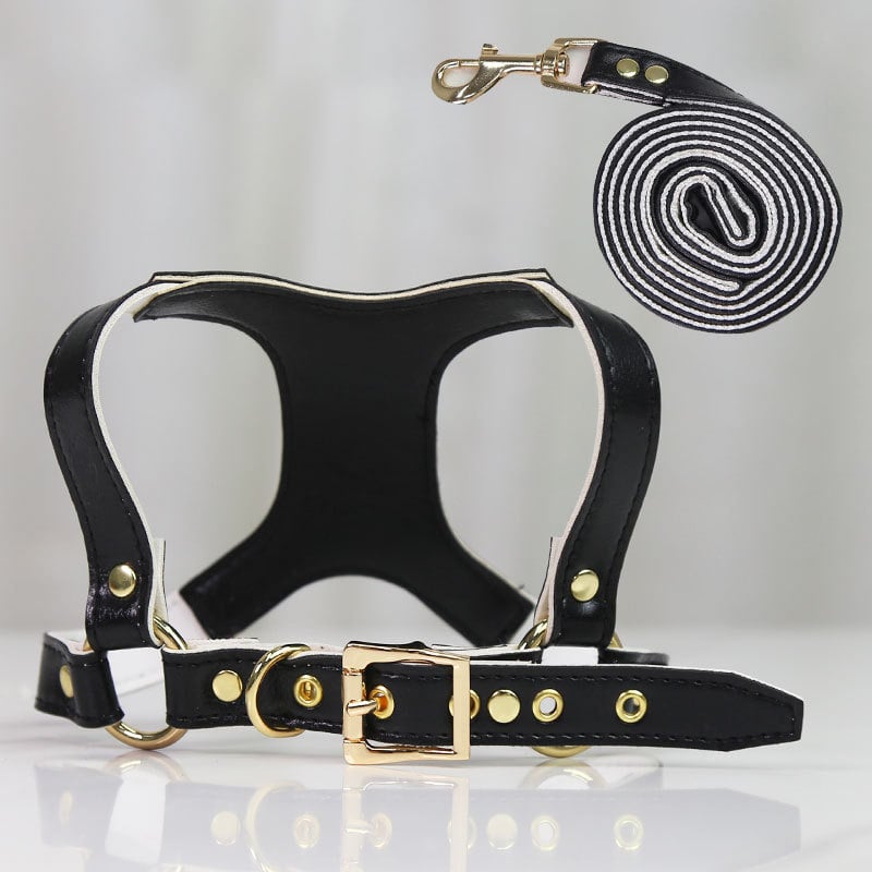 Stylish Dog Leash