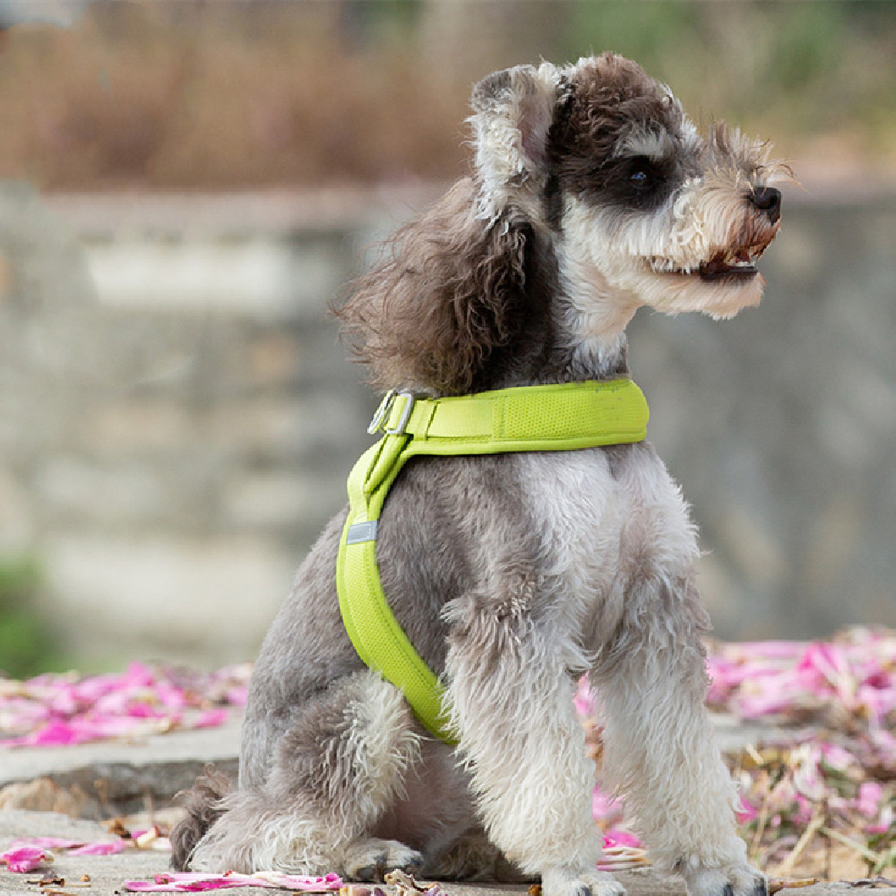 Dog Vest Color 5