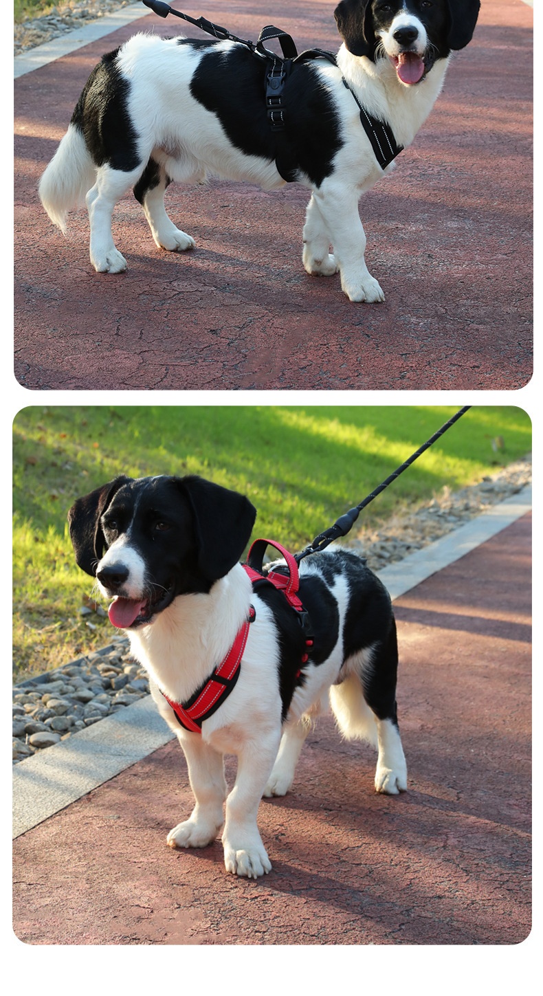 Dog Vest Image 13