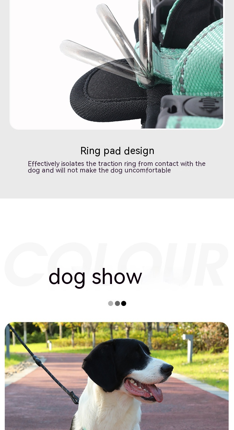 Dog Vest Image 11