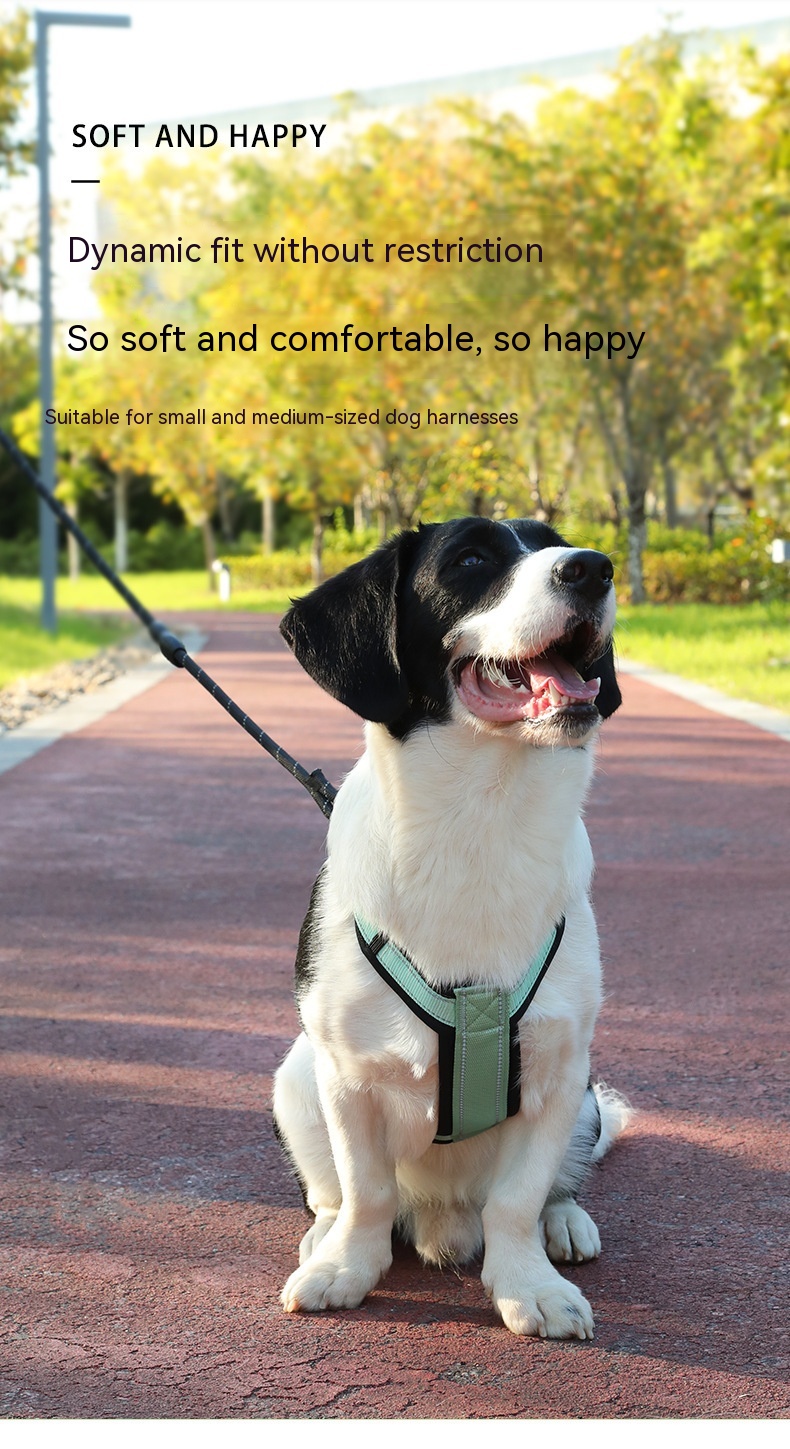 Dog Vest Image 3