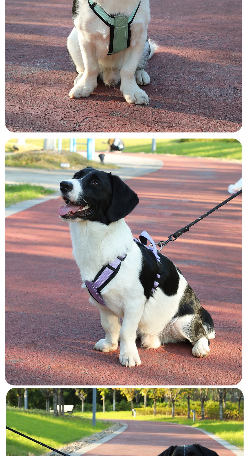 Dog Vest Image 12