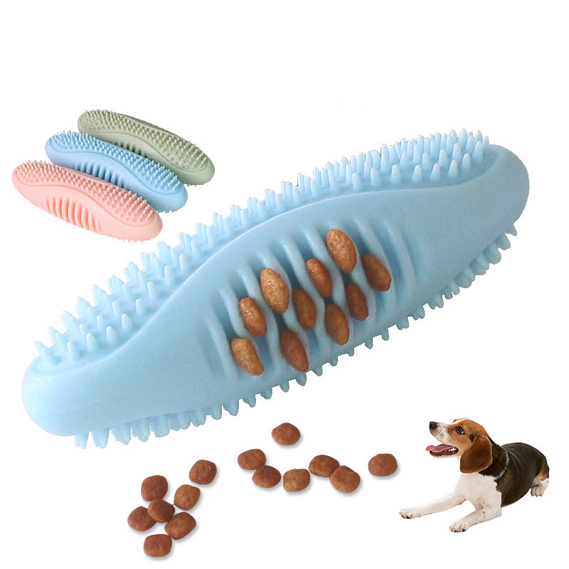 Molar Dog Chewing Toy