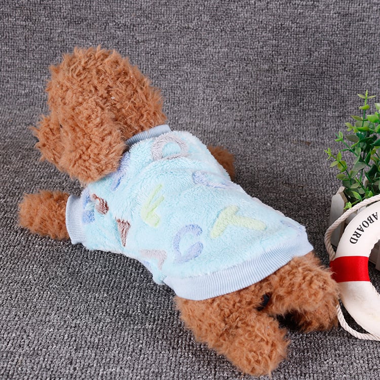 Chihuahua Puppy Clothes