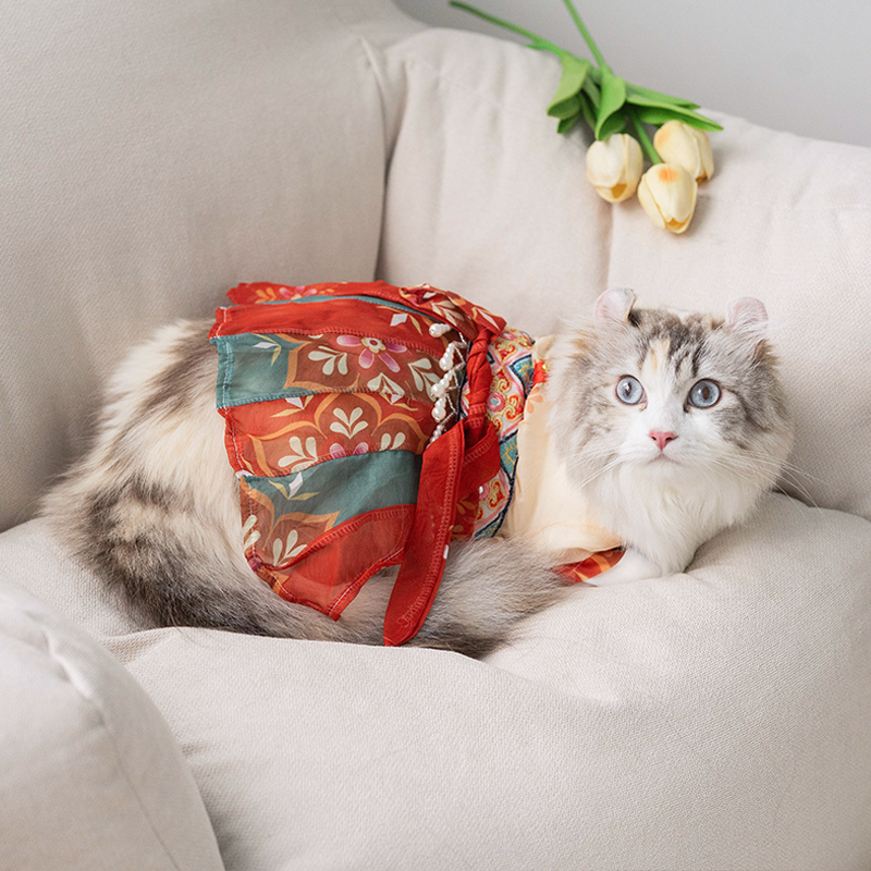 Cat Skirt Princess Style - Image 8