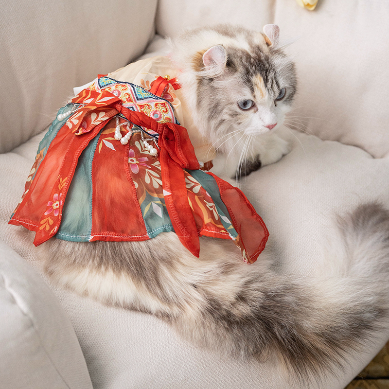 Cat Skirt Princess Style - Image 6