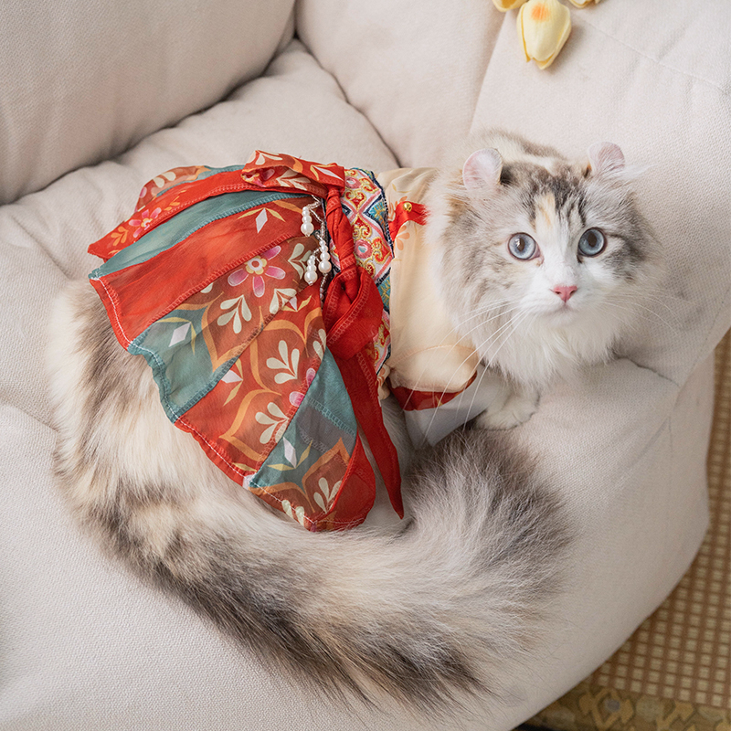 Cat Skirt Princess Style - Image 4