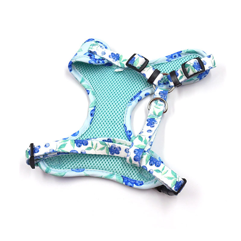Stylish Design