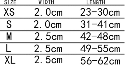 Collar Leash Set Image 3